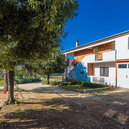 Apartman Ines Bibinje Exterior foto